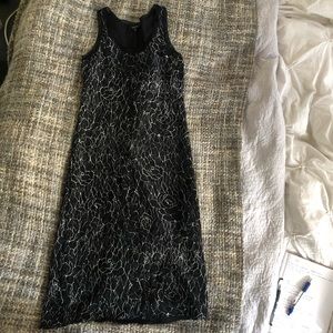 Babaton 100% Silk Dress